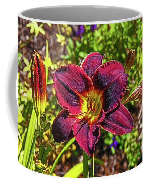 Deep Red Day Lily Foliage Background 0719 Coffee Mug featuring the photograph Deep Red Day Lily Foliage Background 0719 by David Frederick
