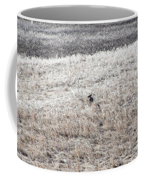 Deer Coffee Mug featuring the photograph Deer At Cades Cove by Phil Perkins