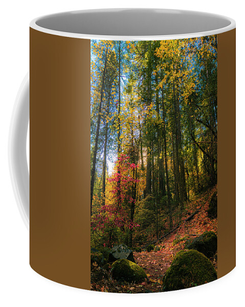 Tpeak Photos Coffee Mug featuring the photograph Deer Creek Trail Autumn Splendor by Mike Lee