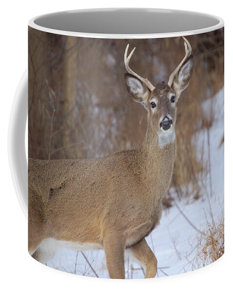 Deer Coffee Mug featuring the photograph Deer in Winter by Nancy Ayanna Wyatt