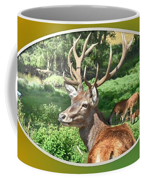 Deer Coffee Mug featuring the photograph Deer with Antlers by Nancy Ayanna Wyatt