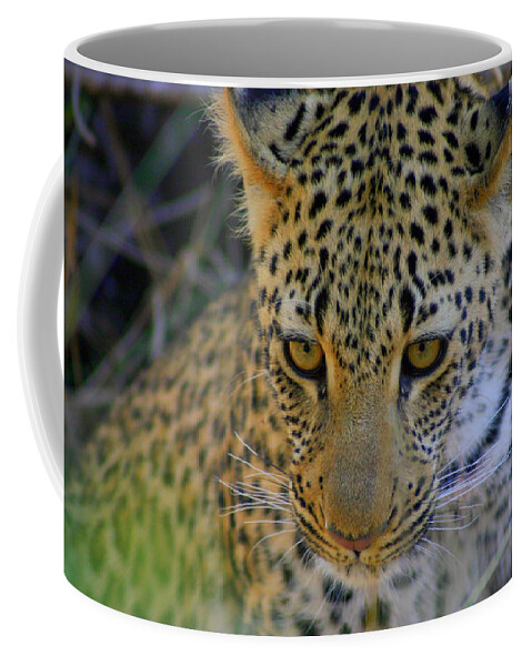 Def Leopard Coffee Mug featuring the photograph Def Leopard by Gene Taylor