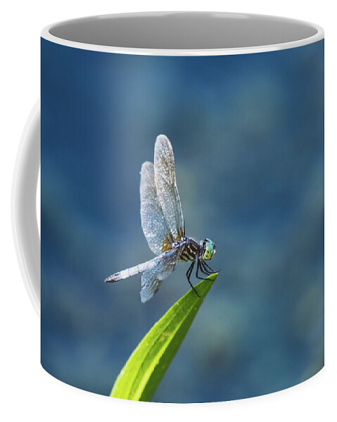 Dragonfly Coffee Mug featuring the photograph Delicate Beauty by Rose Guinther