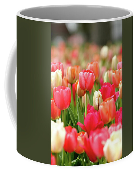 Nature Coffee Mug featuring the photograph Delicate by Lens Art Photography By Larry Trager