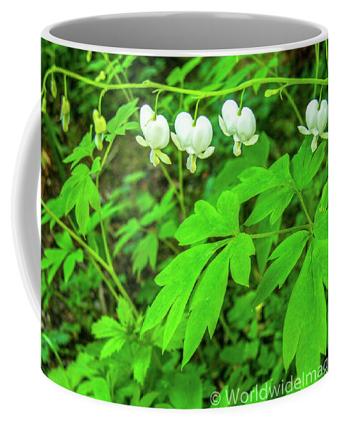 Forest Floor Coffee Mug featuring the photograph Delicate Spring Pantaloons by Leslie Struxness
