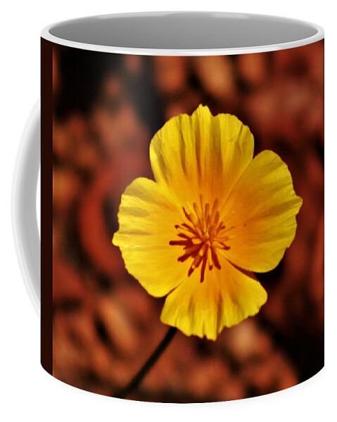 Floral Coffee Mug featuring the photograph Delicate Yellow Flower 080415 by Edward Dobosh