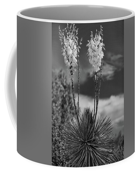 Black And White Coffee Mug featuring the photograph Desert bloom by Doug Wittrock