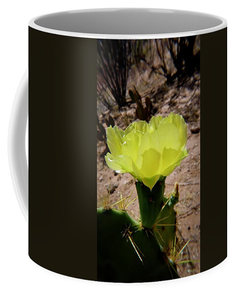 American Southwest Coffee Mug featuring the photograph Desert Bloom by Judy Kennedy