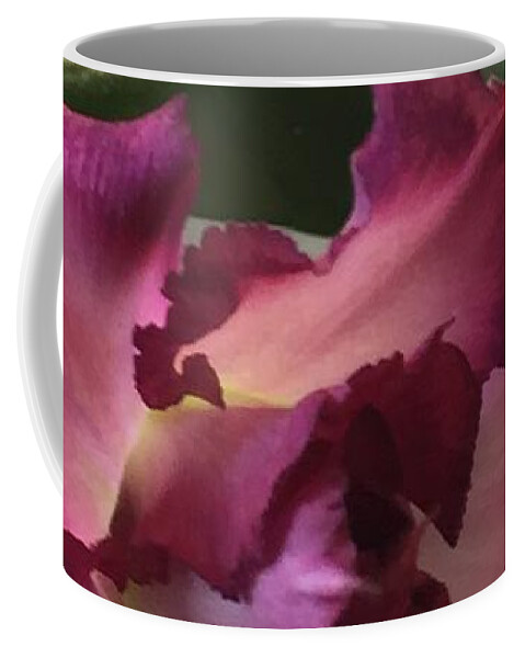 Desert Rose Coffee Mug featuring the photograph Desert Rose by Albert Massimi