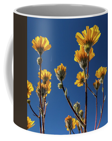 Autumn Coffee Mug featuring the photograph Desert Sunflowers by Peter Tellone