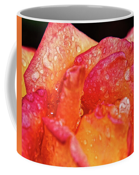 Dew Coffee Mug featuring the photograph Dew on the Rose by Scott Olsen