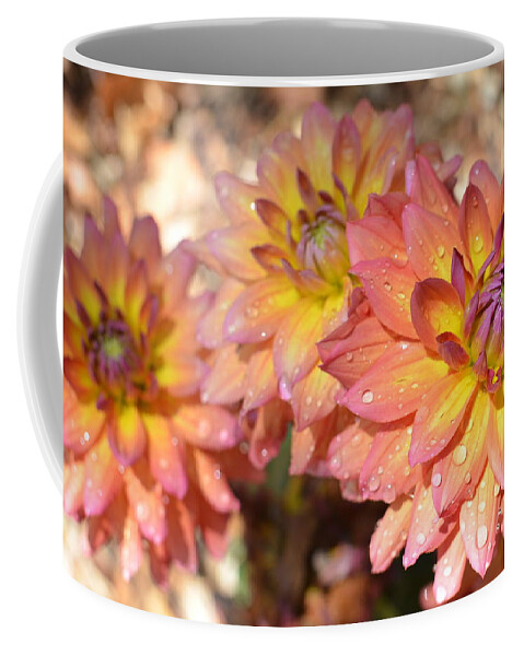 Dahlia Coffee Mug featuring the photograph Dewy Dahlias by Amy Fose