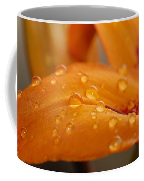 Lily Coffee Mug featuring the photograph Dewy Orange Lily Petal by Amy Fose