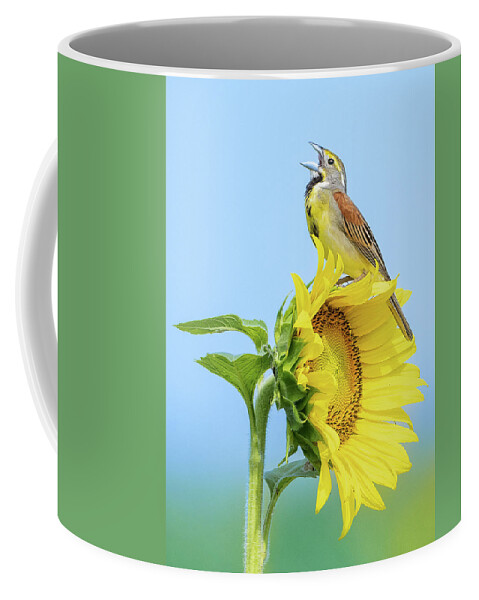 Birds Coffee Mug featuring the photograph Dickcissel on Sunflower by Julie Barrick