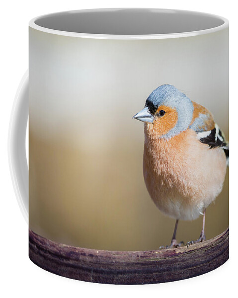 Chaffinch Coffee Mug featuring the photograph Did someone say cake? by Anita Nicholson