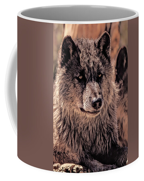 Wolf Coffee Mug featuring the photograph Digital Enhanced Wolf by MaryJane Sesto