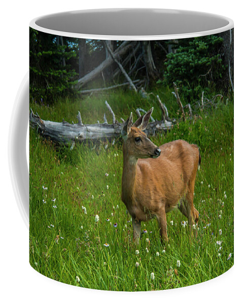 Olympic National Park Coffee Mug featuring the photograph Dinner at Dusk by Doug Scrima