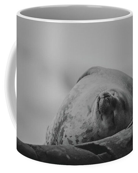03feb20 Coffee Mug featuring the photograph Do Not Awaken - Makes Me Crabby BW by Jeff at JSJ Photography