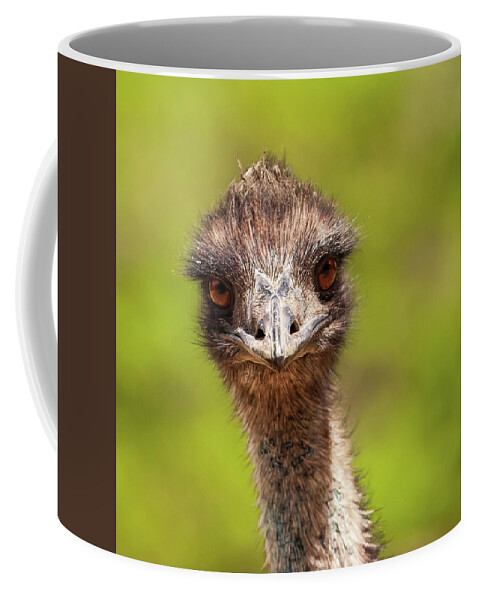 Arboretum Coffee Mug featuring the photograph Do Not Hate Me Because I Am Beautiful by Rick Furmanek