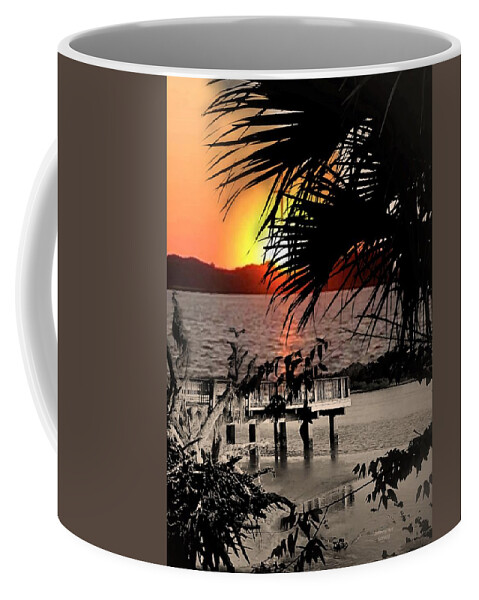 Peir Pressure Coffee Mug featuring the photograph Dockside Service by John Anderson