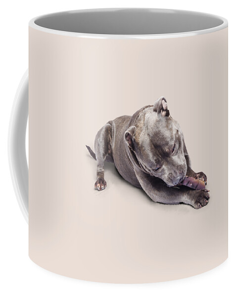 Pets Coffee Mug featuring the photograph Dog eating chew toy by Jorgo Photography