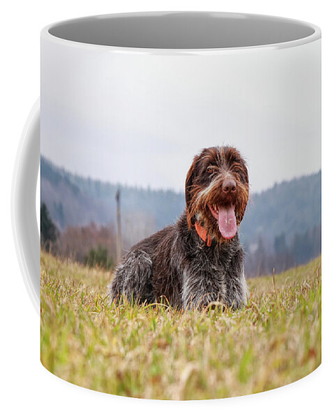 Bohemian Wire Coffee Mug featuring the photograph Bohemian Wire is relaxing by Vaclav Sonnek