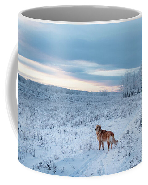 Dog Coffee Mug featuring the photograph Dog in an Alberta winter pasture by Karen Rispin