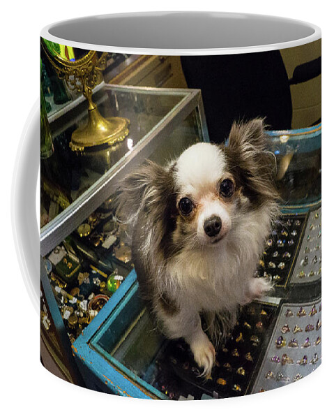 Dog Antique Shop Wilmington Illinois Coffee Mug featuring the photograph Dog in an Antique Shop - Wilmington, Illinois by David Morehead
