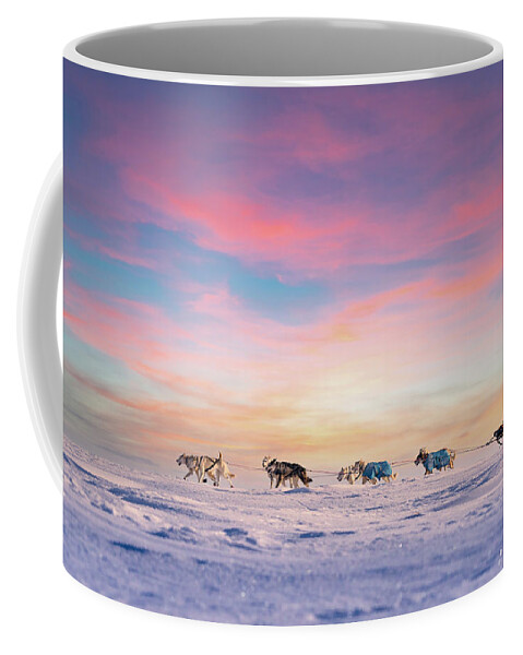 Sunset Coffee Mug featuring the photograph Dog Sled Team at Sunset by Scott Slone