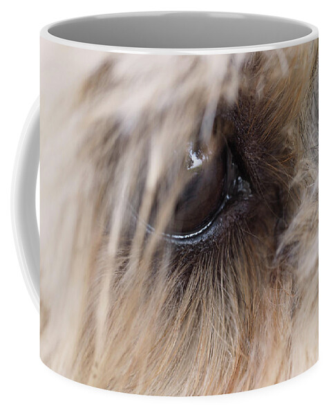 Dog Coffee Mug featuring the painting Dog's eye by Sv Bell