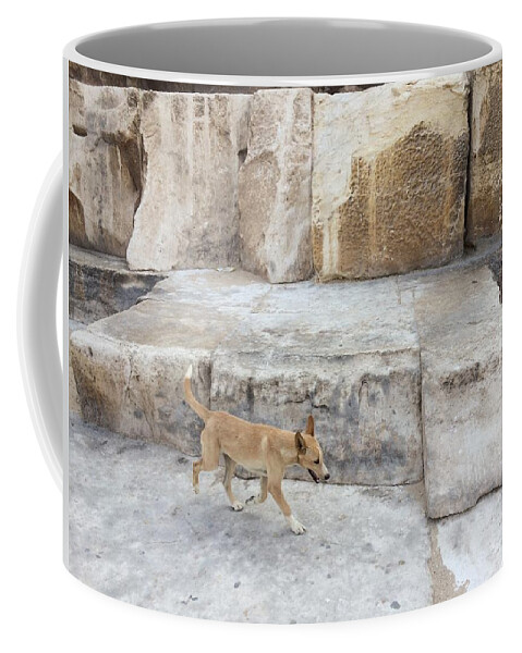 Giza Coffee Mug featuring the photograph Dogs of Giza by Trevor Grassi