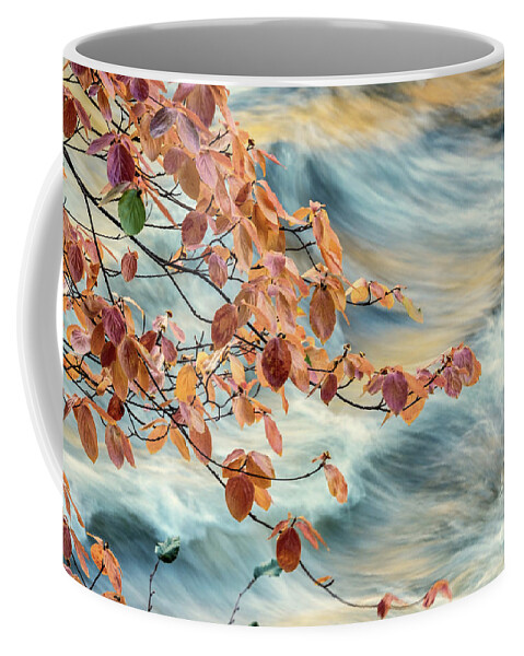 Dogwood Coffee Mug featuring the digital art Dogwood and Standing Waves by William Fields