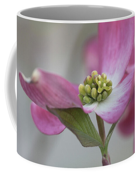 Flower Coffee Mug featuring the photograph Dogwood by David Beechum
