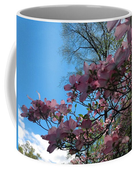 Sky Coffee Mug featuring the photograph Dogwood Tree and Blue Skies by Christopher Lotito