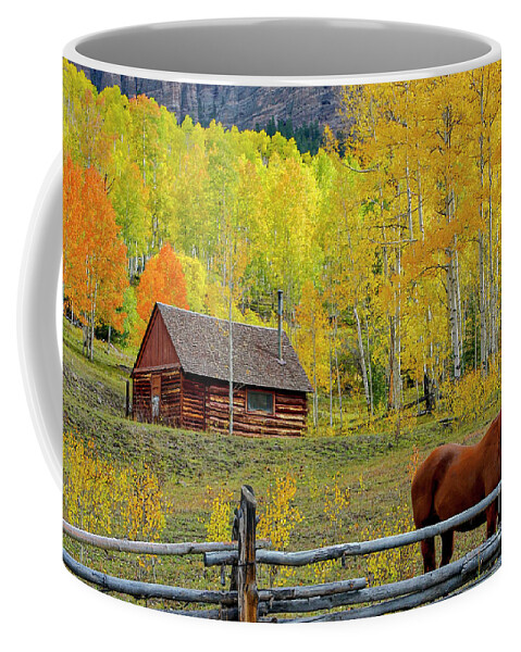San Juan Mountains Coffee Mug featuring the photograph Don't Fence Me In by Bob Phillips