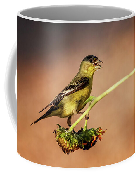 Arboretum Coffee Mug featuring the photograph Don't Speak With Your Mouth Full by Rick Furmanek