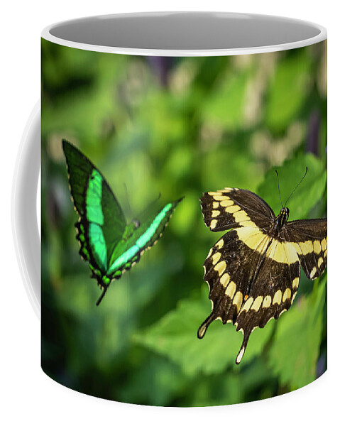 Swallowtail Coffee Mug featuring the photograph Double Beauty by Laura Hedien