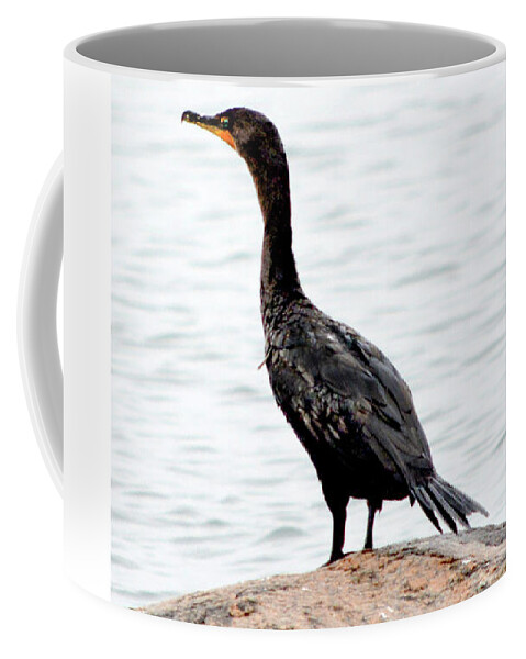 Bird Coffee Mug featuring the photograph Double-Crested Comorant by Dianne Morgado