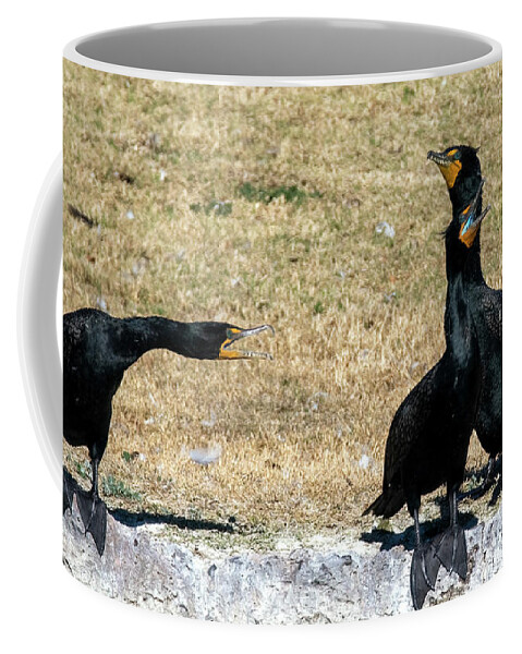 Double-crested Cormorants Coffee Mug featuring the photograph Double-crested Cormorant 8292-021922-2 by Tam Ryan