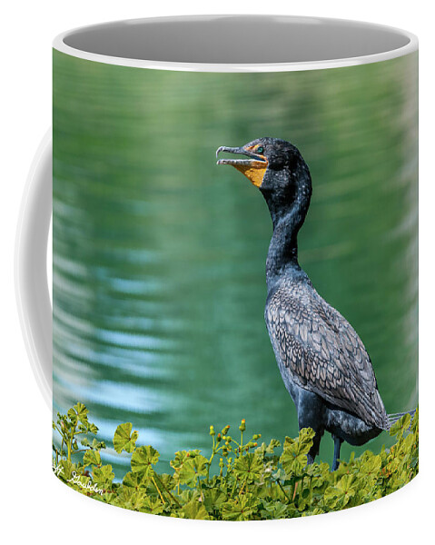 Adult Coffee Mug featuring the photograph Double-Crested Cormorant by Jeff Goulden