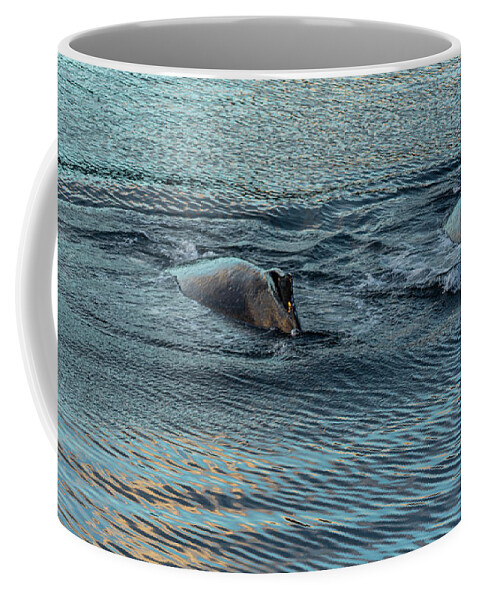 Alaska Coffee Mug featuring the photograph Double Hump Alaska by Nicholas McCabe