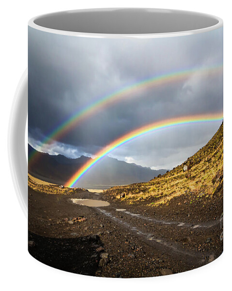 Rainbow Coffee Mug featuring the photograph Double rainbow by Lyl Dil Creations