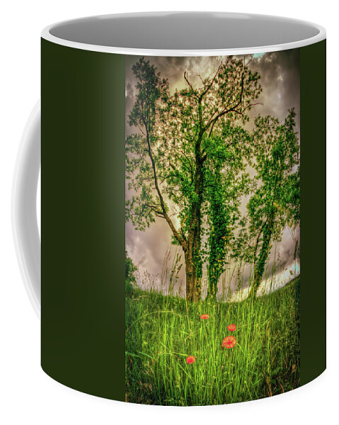 North Carolina Coffee Mug featuring the photograph Doughton Spring in the Blue Ridge by Dan Carmichael
