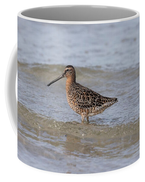 Dowitcher Coffee Mug featuring the photograph Dowitcher by Mingming Jiang