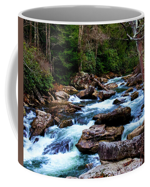 Waterfall Coffee Mug featuring the photograph Down Stream From Glade Creek Grist Mill by Flees Photos