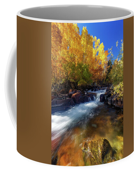 Rivers Coffee Mug featuring the photograph Downflow by Tassanee Angiolillo