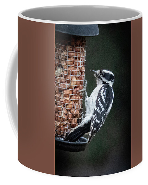 2019 Coffee Mug featuring the photograph Downy Woodpecker 1 by Gerri Bigler