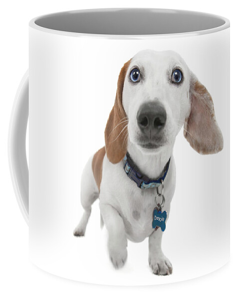 Dog Coffee Mug featuring the photograph Doxie Joy by Renee Spade Photography