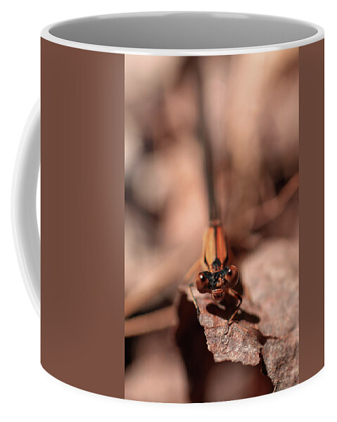 Mountain Coffee Mug featuring the photograph Dragon Fly Doug by Go and Flow Photos
