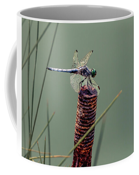 2021 Coffee Mug featuring the photograph Dragonfly 3 by James Sage